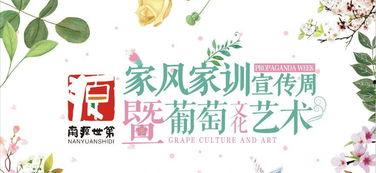 娱乐吃瓜菌中央公益广告,揭秘娱乐圈背后的温暖与正能量